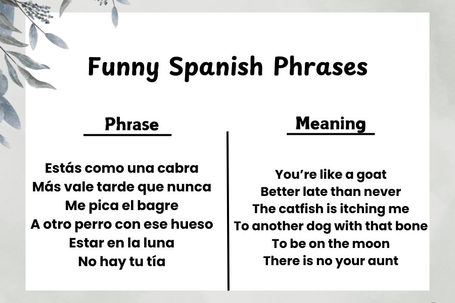 50+ Funny Spanish Words, Sayings, and Phrases to Spice Up Your ...