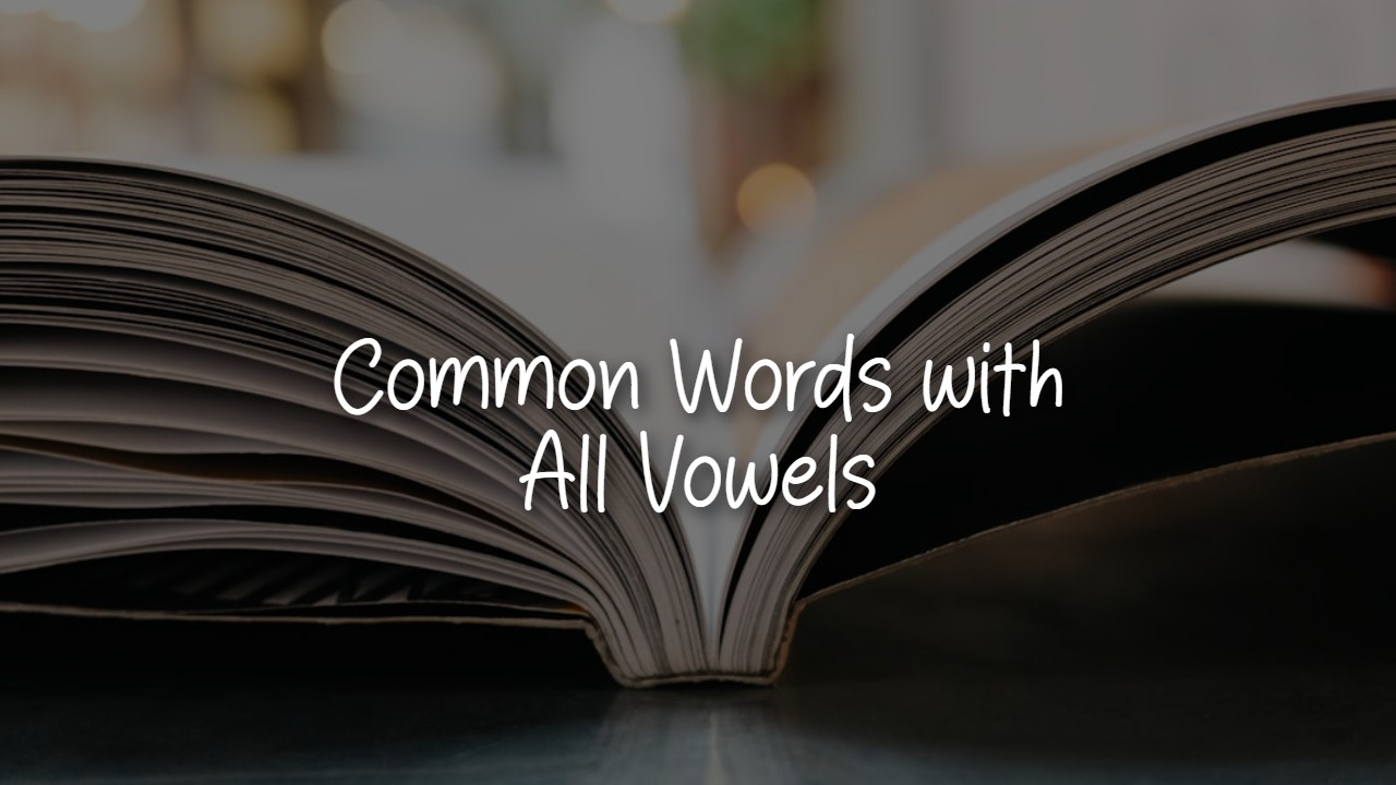 The Ultimate List of Words Containing All Vowels, A, E, I, O, U - Edmora